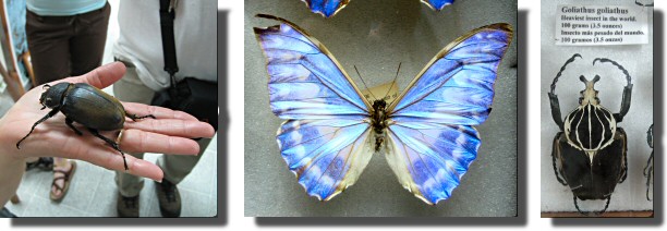 Not all the insects are dead.